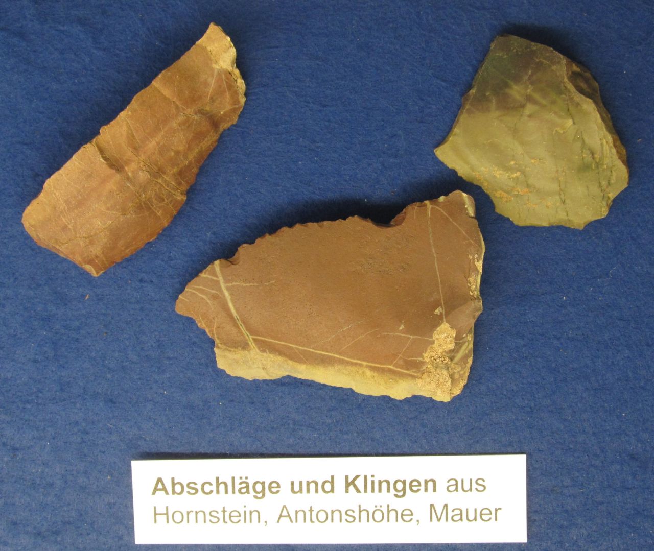 Das erste Werkzeug im Wienerwald (© Dr. Michael Götzinger)